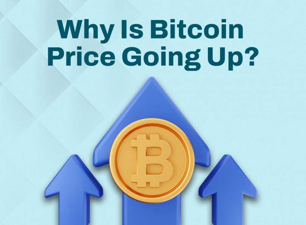 Why Is Bitcoin Price Going Up?